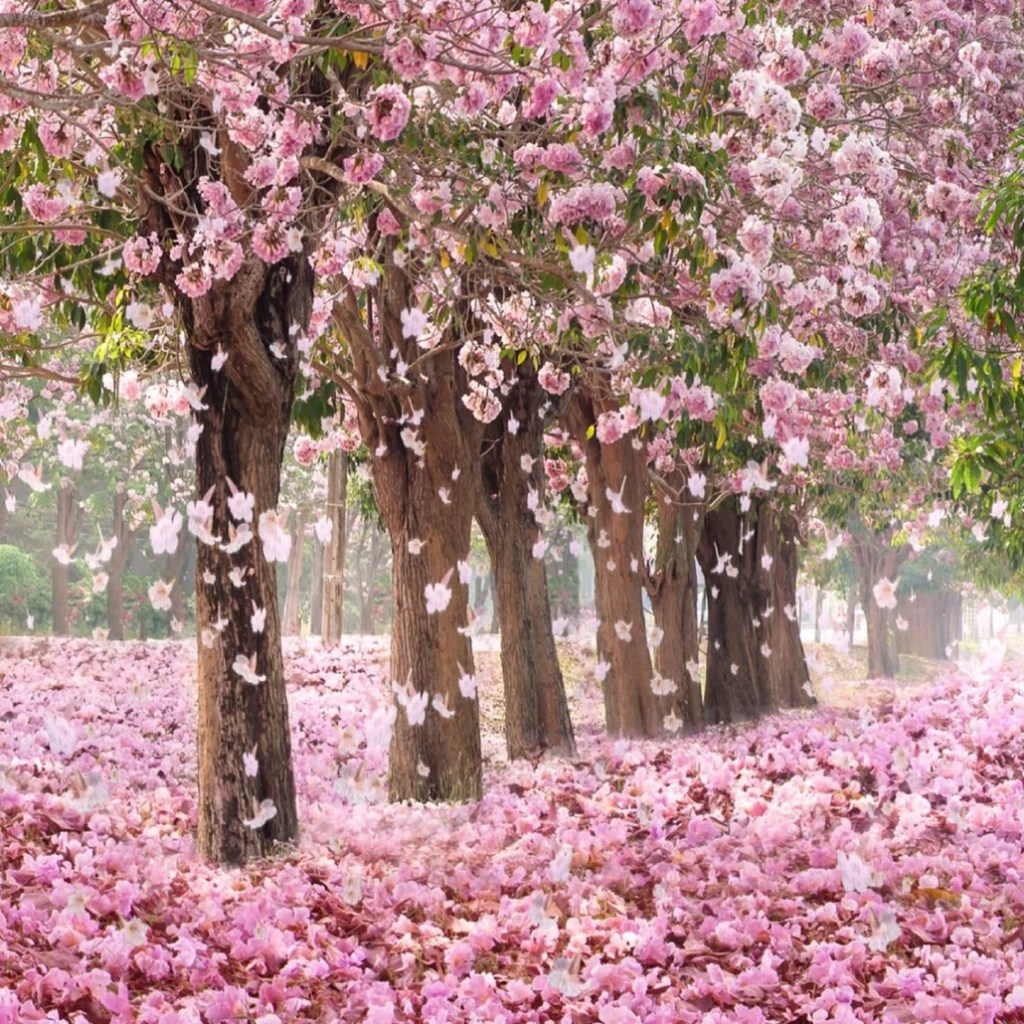 My first month at&nbsp;uni!